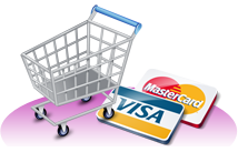 Nettbutikk webshop e-handel Visa Klarna
